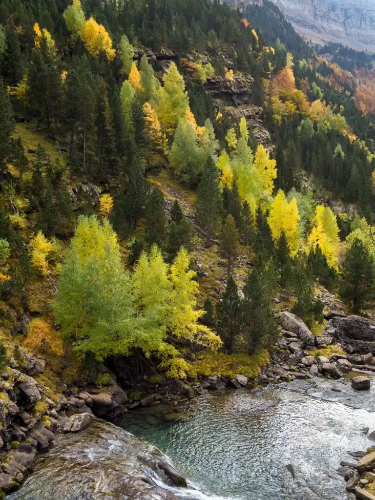 兰州周边旅游攻略之吐鲁沟森林