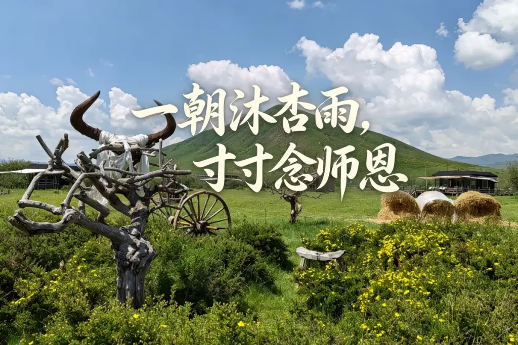桑青营地致敬教师节海报